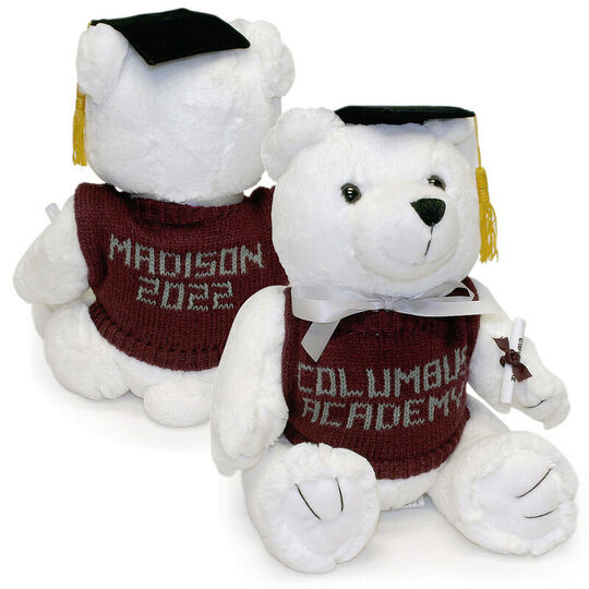 Graduation Teddy Bear
